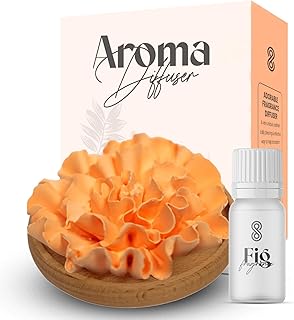 HOME ARCHIVE Aroma Diffuser with Aromatherapy Fragrant Oil Diffusers for Home Room Decor Fig Fragrance (Carnation Flower (Orange))
