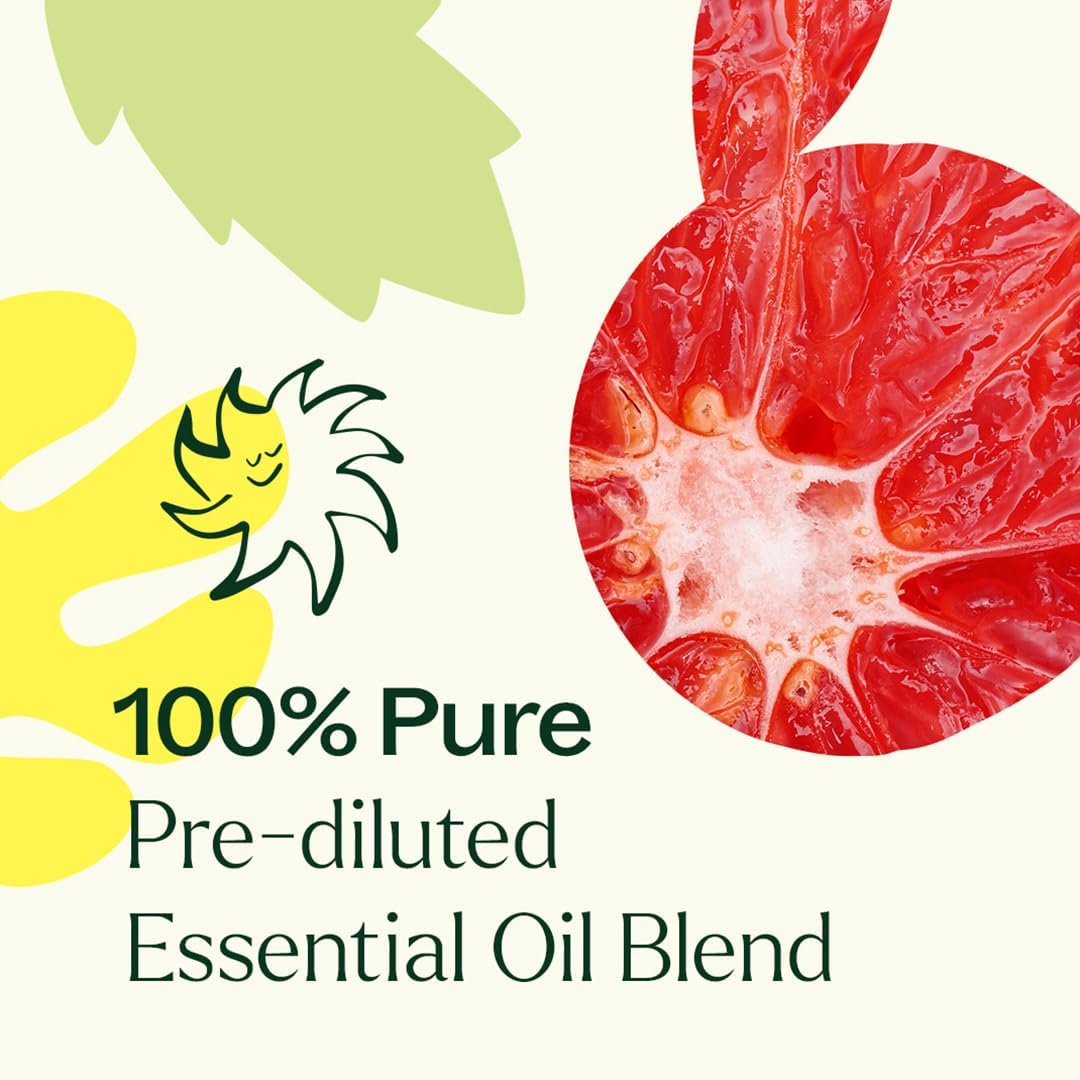 Plant Therapy Hangover Recovery Essential Oil Roll On Blend 100% Pure, Natural, Great for Overall Mood and Energy Boost, 10 mL (1/3 oz)