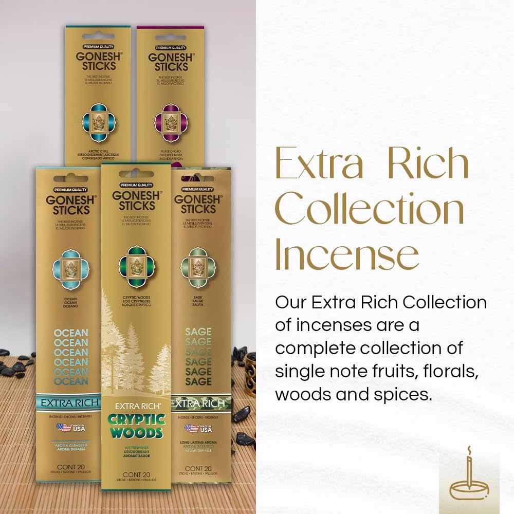 Gonesh - Extra Rich Scented Incense Sticks Variety Pack - Non-Toxic 10” Slow Burn Aromatic Sticks - Ocean, Cryptic Woods, Sage, Arctic Chill, Black Orchid - 5 Packs of 20