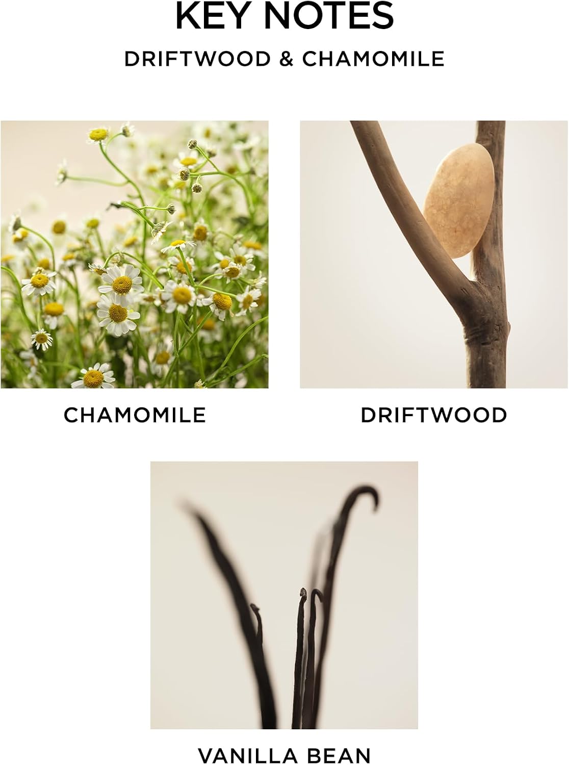 NEST New York Reed Diffuser, Driftwood & Chamomile - The Wellness Collection - 5.9 fl oz - Fragrance for Up to 90 Days - Reusable, Refillable Glass Holder - Includes 8 All-Natural Reed Sticks