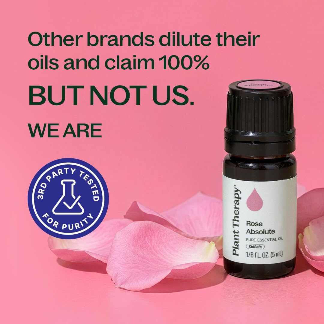 Plant Therapy Rose Absolute Essential Oil, 5 mL (1/6 oz), 100% Pure, Undiluted, Calming & Emotionally Grounding, Great Essential Oil for Skincare