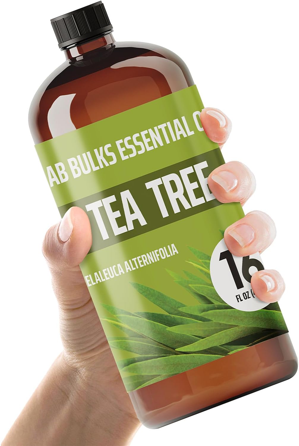 Lab Bulks Essential Oil Tea Tree 16 oz Bulk Bottle