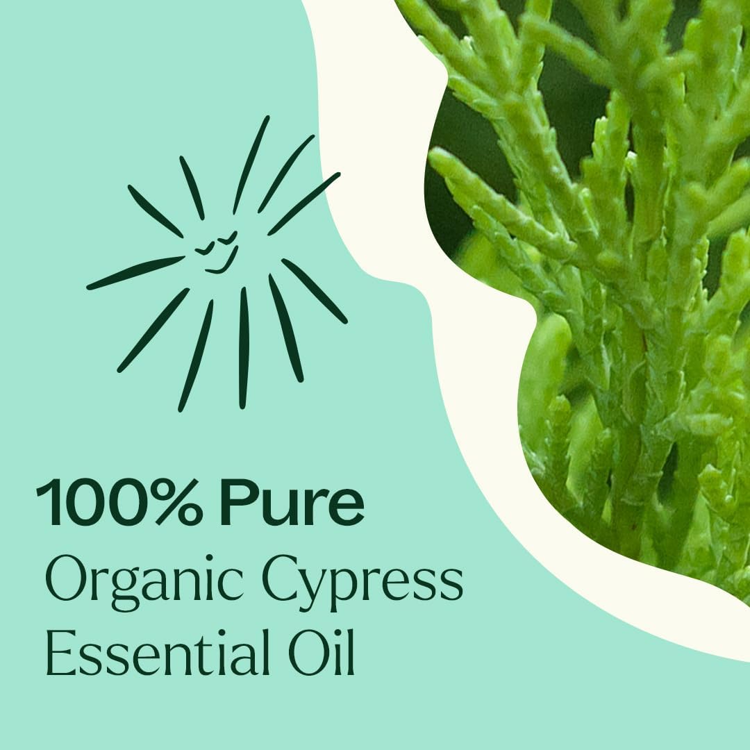 Plant Therapy Organic Cypress Essential Oil 10 mL (1/3 oz), 100% Pure, Undiluted, Natural Aromatherapy for Congestion Relief and Clear Skin