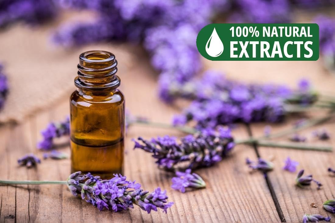Bless-Lavender 100%-Natural-Handmade-Hand-Dipped-Incense-Sticks Organic-Chemicals-Charcoal-Free Purification-Relaxation-Positivity-Yoga-Meditation Best-Woods-Scent (100 Sticks (5.25 OZ))