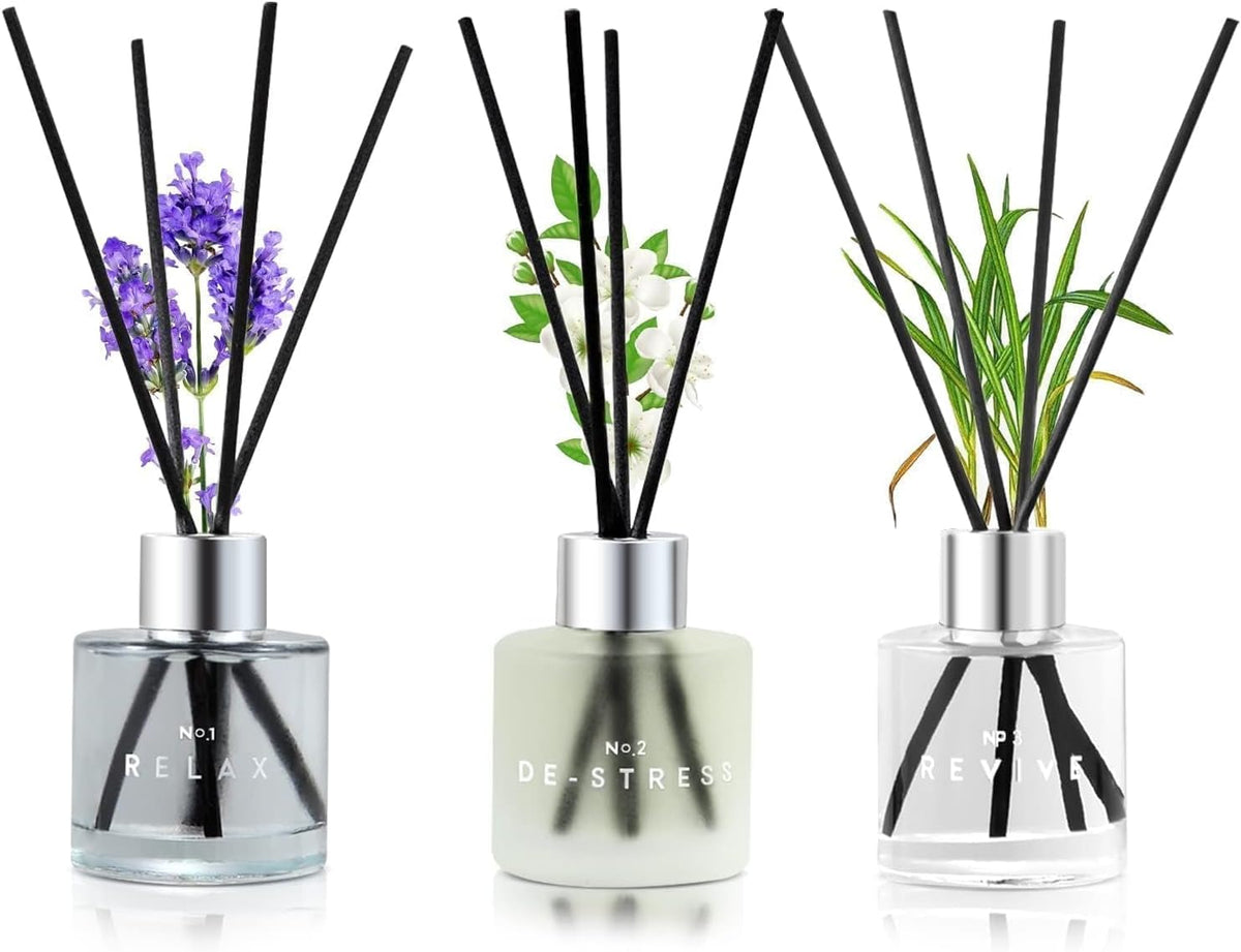3 Pack Fragrance Reed Diffuser