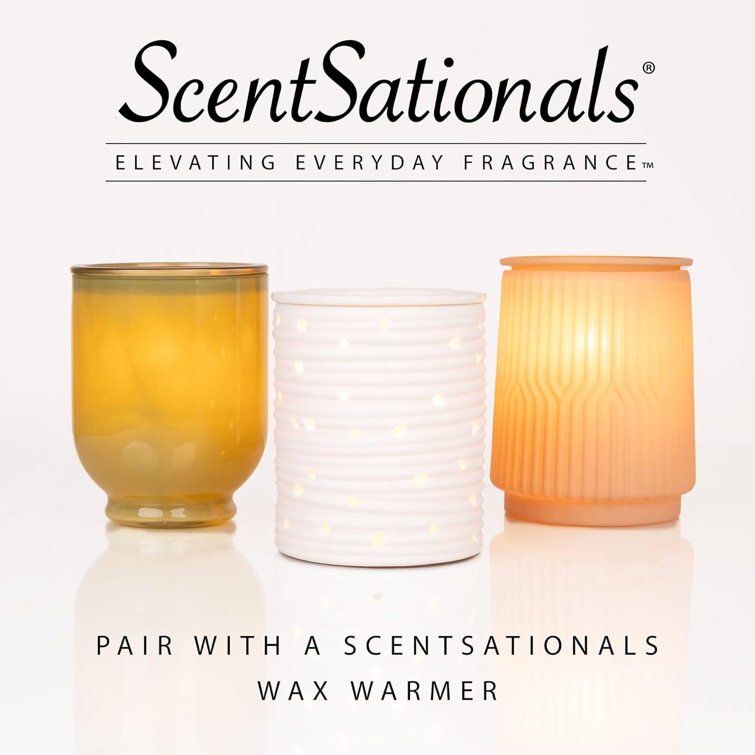 Scentsationals Eucalyptus Snow Scented Wax Melts - Eucalyptus, Vanilla, & Balsam, 10oz (24 Cubes)