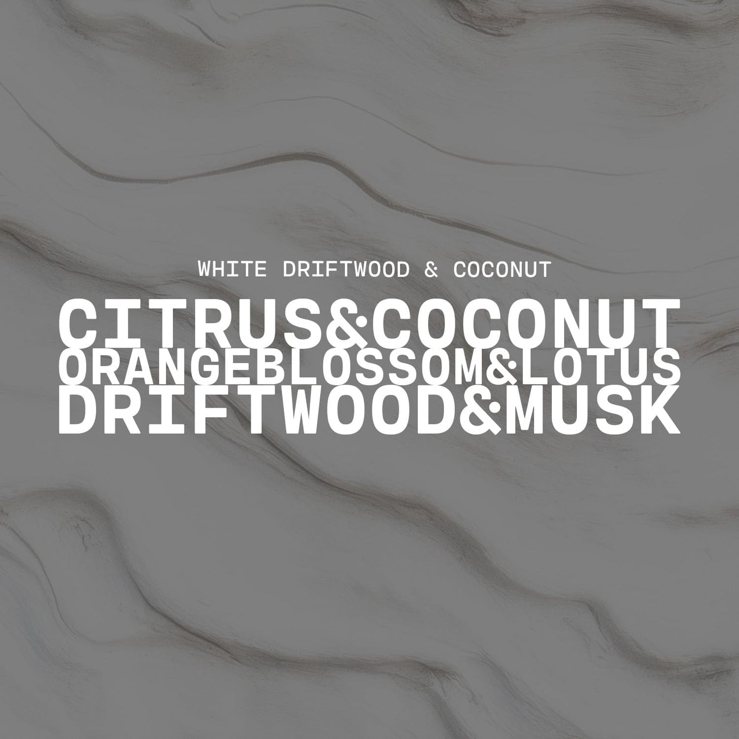 Milkhouse Candle Company White Driftwood & Coconut Soy Candle - Coconut Water | Mandarin Orange | Rosewater Scented - 14 oz Milkbottle with Lid, 90+ Hour Burn Time, Made in the USA