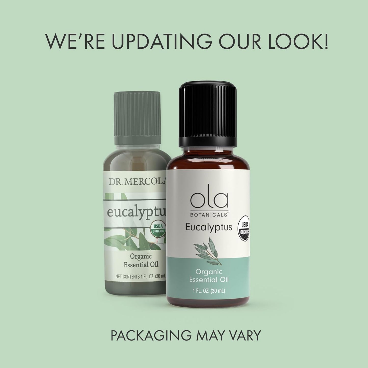 Dr. Mercola Ola Botanicals Organic Essential Oil - Uplifting Aroma for Air Diffusion & Skin Use - Refreshing and Soothing - Organic Eucalyptus 1 fl oz