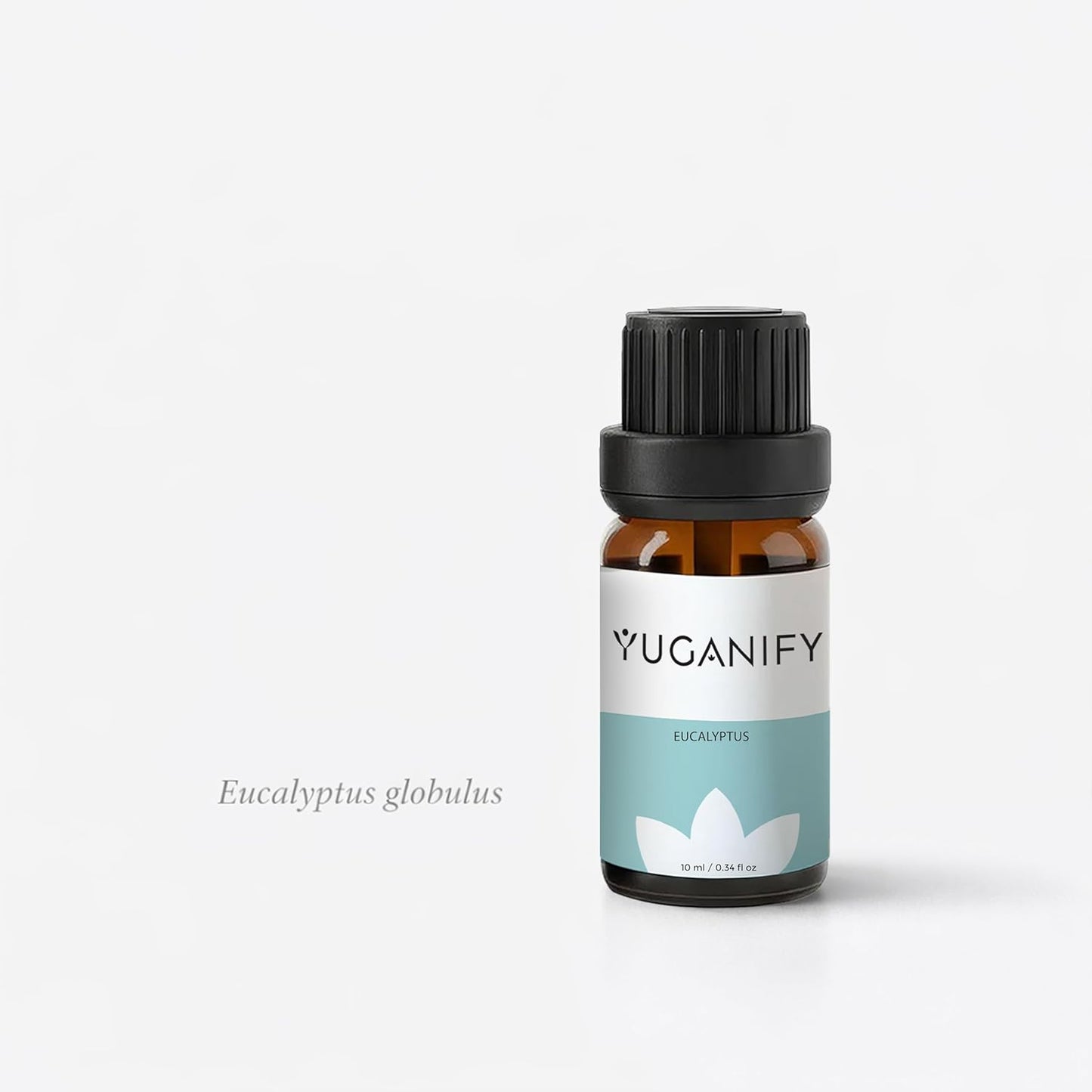 Eucalyptus Essential Oil 10ml – 100% Pure & Steam Distilled – Strong Scent Aromatherapy Oil for Diffuser, Humidifier & Shower, Ideal for Steam Inhalation and Home Freshening