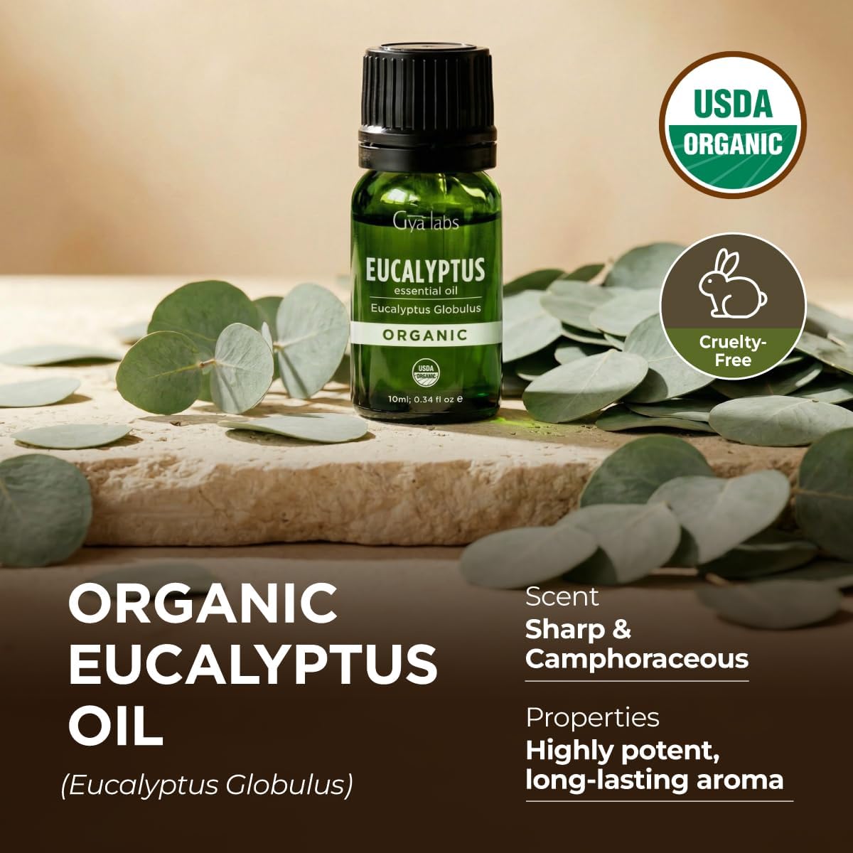 Gya Labs USDA Organic Eucalyptus Essential Oil for Diffuser & Seasonal Comfort - for Skin, Massages, Hair & Scalp Care, Aromatherapy, DIY Candle Making Scents - 0.34 Fl Oz