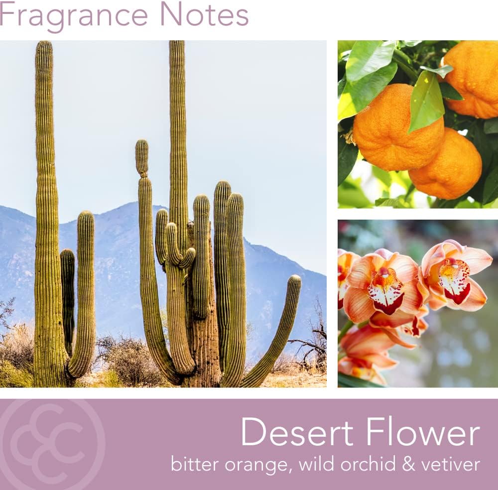 Colonial Candle Desert Flower Scented Jar Candle, Desert Collection, Ivory, 3 Wick, 14.5 oz