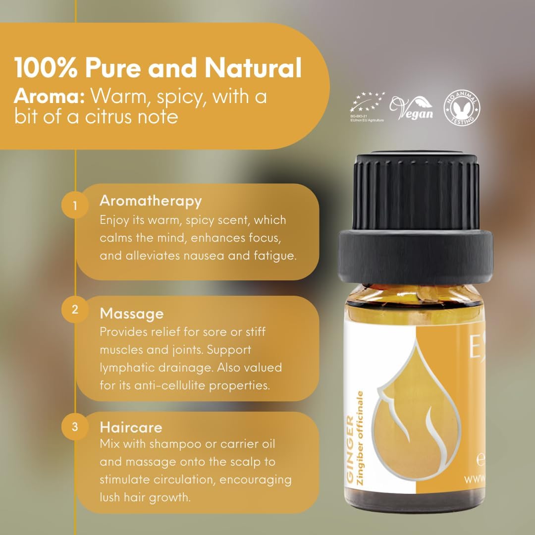 Essences Bulgaria Organic Ginger Essential Oil 0.17 Fl Oz 5ml Zingiber officinale - 100% Pure Natural Undiluted Therapeutic Grade Aromatherapy Oil for Diffuser Humidifier Lymphatic Drainage Massage