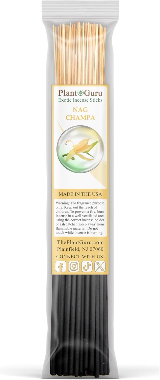 Top 5 Incense Sticks Variety Set Bulk 500 Pack - 11" Sticks, 5 Bundles of 100 Sticks Per Bundle - Dragons Blood, Frankincense and Myrrh, Lavender, Nag Champa, and Sandalwood.