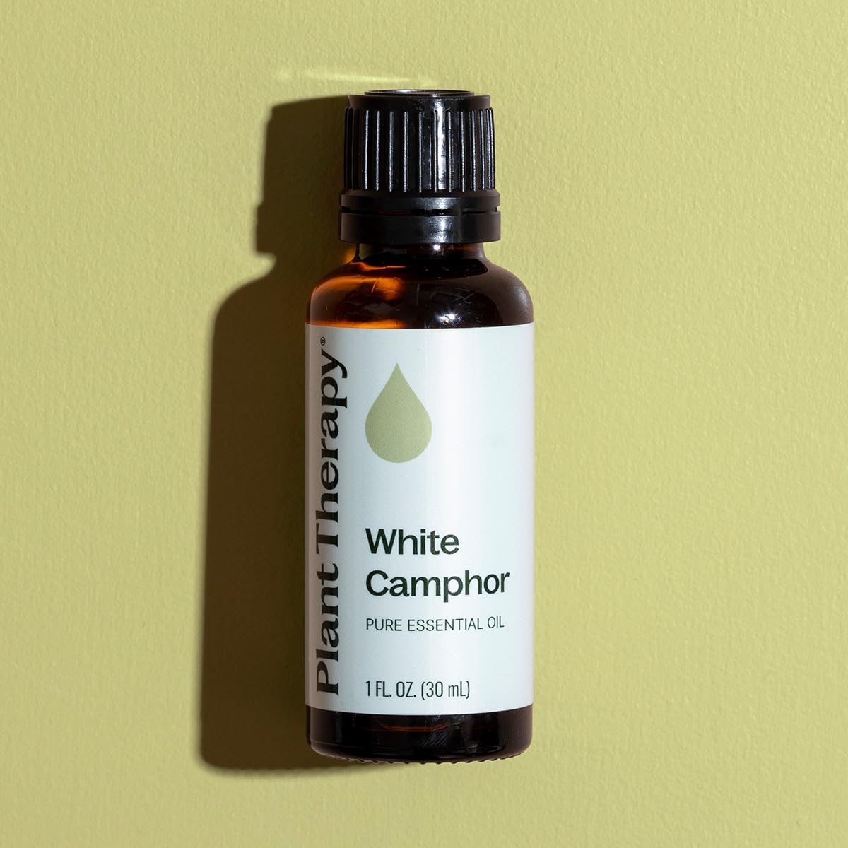 Plant Therapy White Camphor Essential Oil 30 mL (1 oz) 100% Pure, Undiluted, Supports Respiratory Health