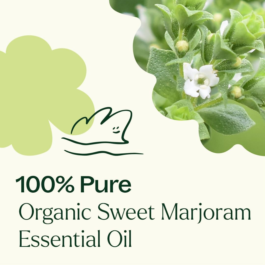 Plant Therapy Marjoram Sweet Organic Essential Oil 10 mL (1/3 oz) 100% Pure, Undiluted Essential Oil, Great for Aromatherapy Diffusers