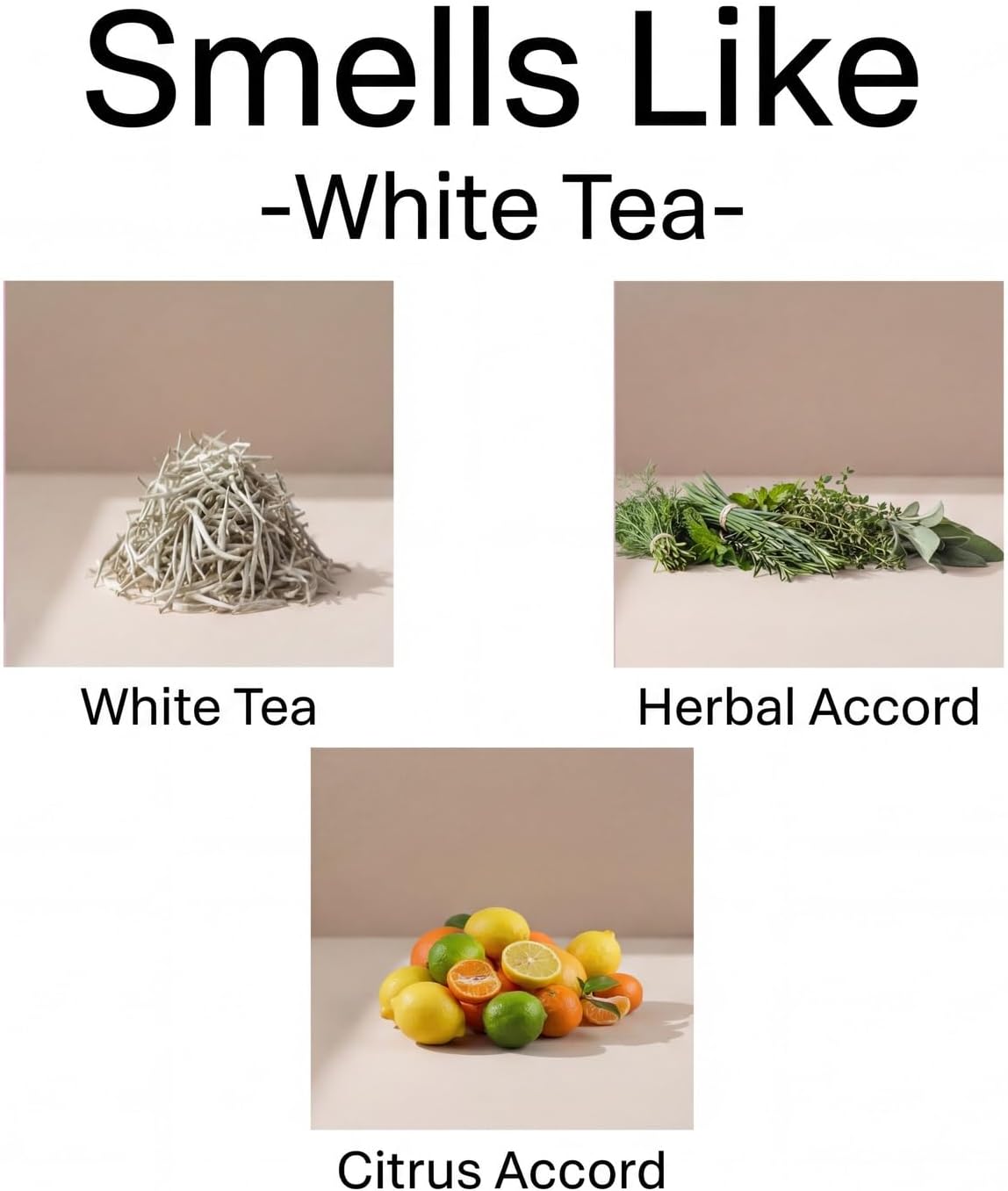 Aronica Diffuser Refill 120ml_White Tea_Floral Gardenia Scent Oil for Home, Hotel Air Essential Oils Scents