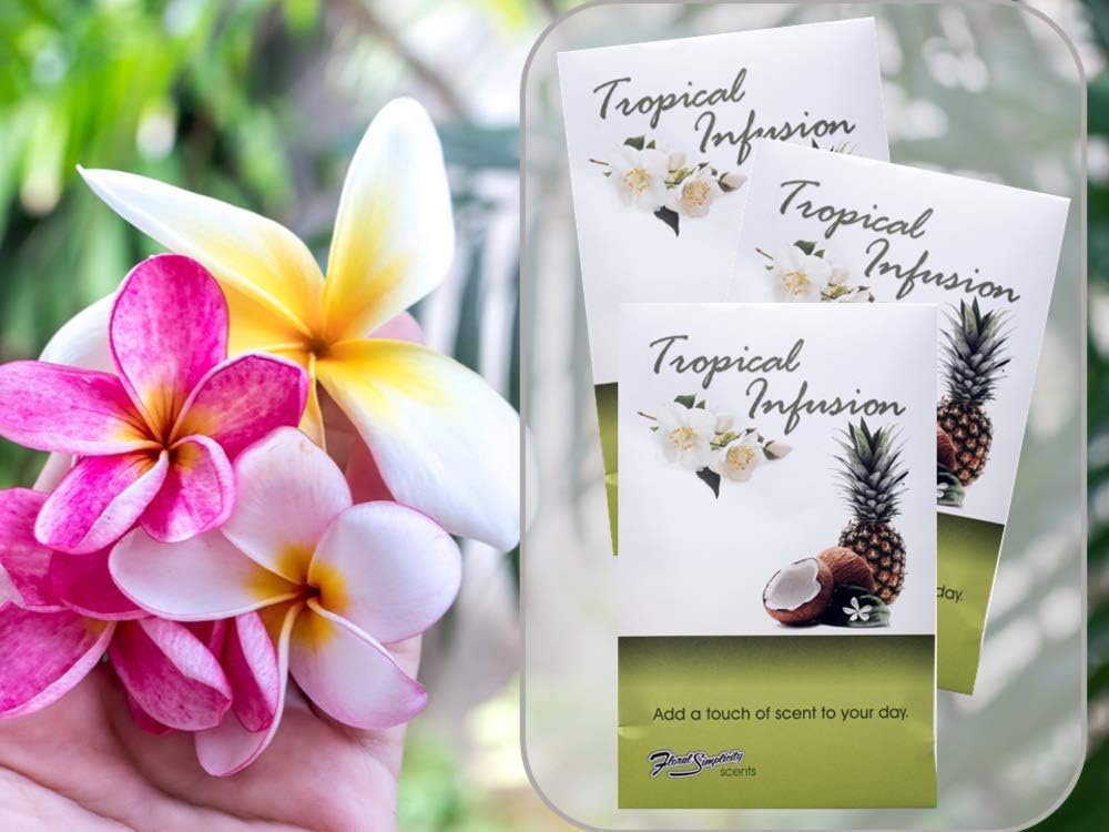 Tropical Infusion Scented Sachets Pack of 3, Spring and Summer - Long-Lasting Scented Bags, Home Fragrance, Air Freshener & Deodorizer for Closet, Room, Drawer, or Cars, Made in US