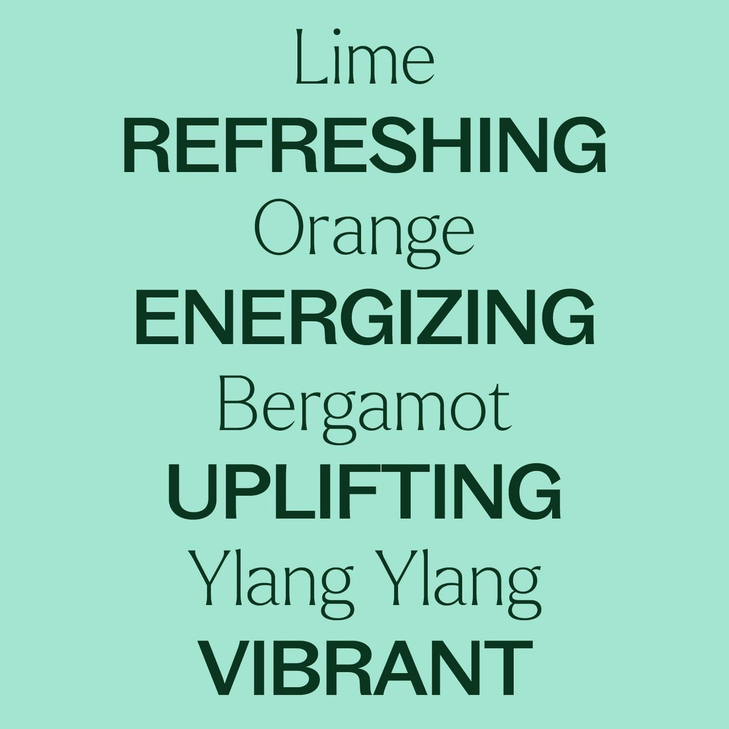 Plant Therapy Lime Twist Summer Essential Oil Blend 10 mL (1/3 oz) Lively & Energetic, Mood-Boosting Sweet Citrus, Sets an Upbeat, Positive Atmosphere