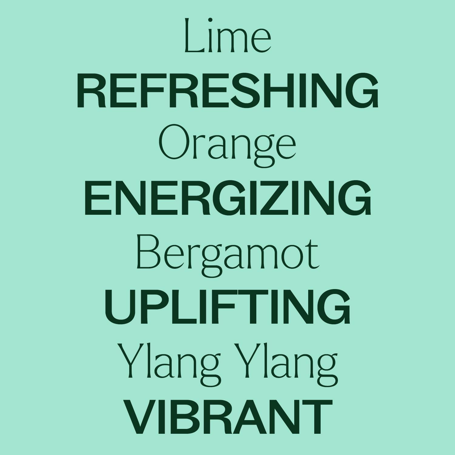 Plant Therapy Lime Twist Summer Essential Oil Blend 10 mL (1/3 oz) Lively & Energetic, Mood-Boosting Sweet Citrus, Sets an Upbeat, Positive Atmosphere