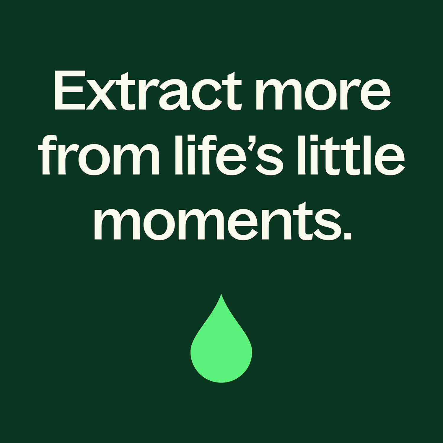 Plant Therapy Black Pepper Essential Oil 10 mL (1/3 oz) 100% Pure, Undiluted, Therapeutic Grade
