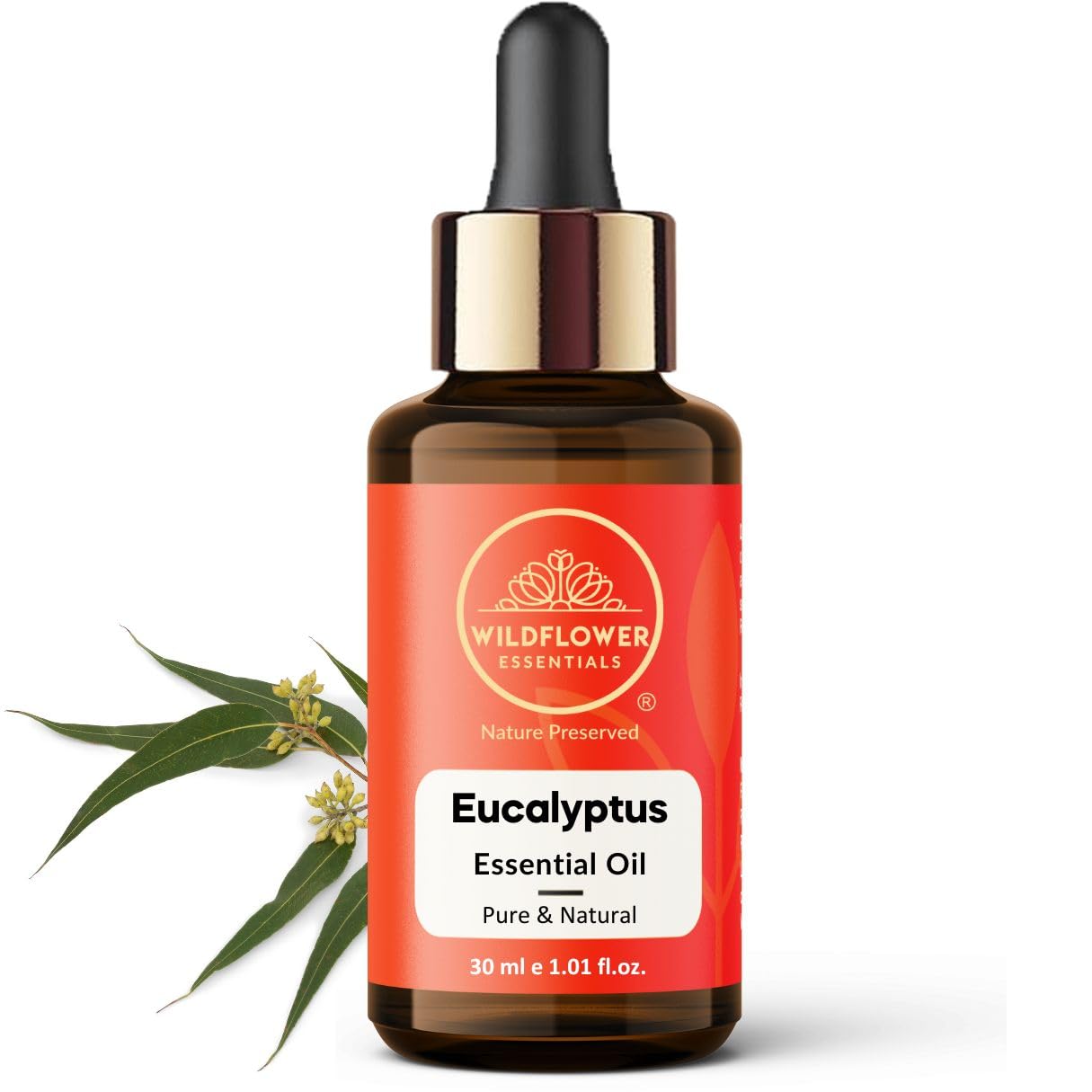 Eucalyptus Essential Oil (Eucalyptus globulus) 100% Natural Steam Distilled Oil For Face, Skin, Hair, Body | with Glass Dropper 1.01 Fl Oz (30ml)