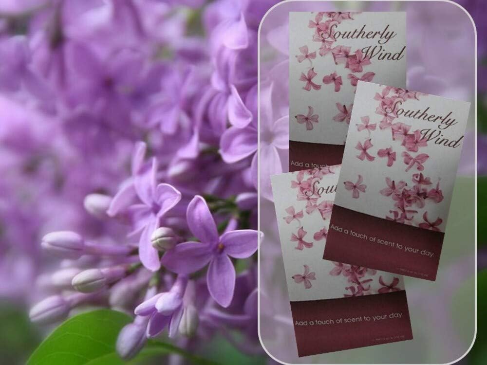 Southerly Wind Scented Sachets Pack of 3, Everyday - Long-Lasting Scented Bags, Home Fragrance, Air Freshener & Deodorizer for Closet, Room, Drawer, or Cars, Made in USA