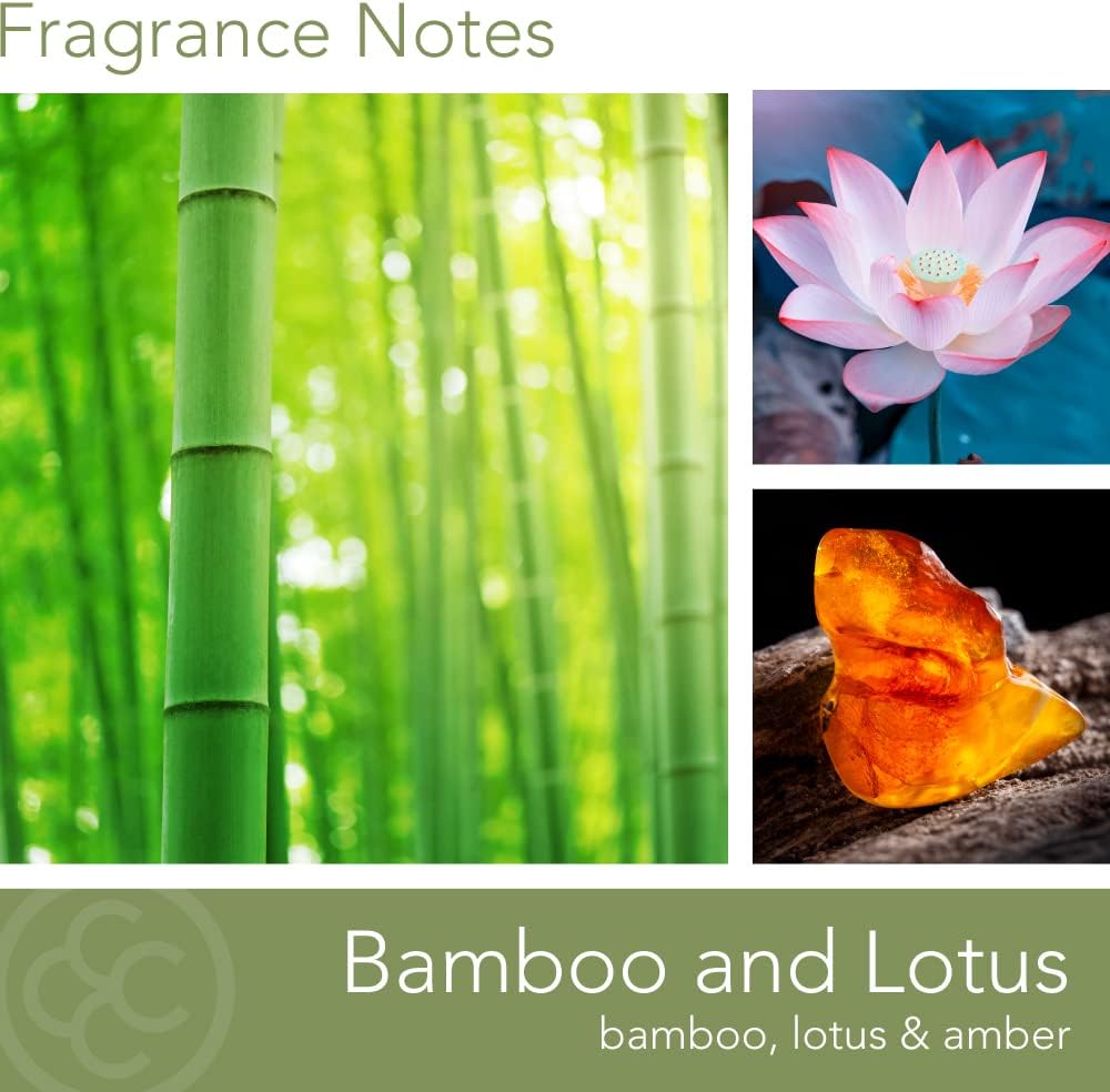Carolina Bamboo Lotus Scented Candle, 16 oz Wellness Relaxing Aromatherapy Candle, 2 Wick White Jar Soy Blend Wax, Candles for Home, 60H Burn - Made in The USA