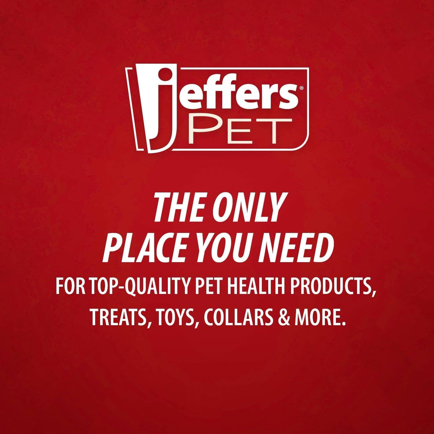 Jeffers Pet Apricot Kernel Exfoliating & Moisturizing Shampoo for Dogs & Cats, 17 oz - Concentrated Coconut Based Formula, Soap Free, Gentle Coat Cleansing, Vitamin Enriched Grooming Care, USA Made