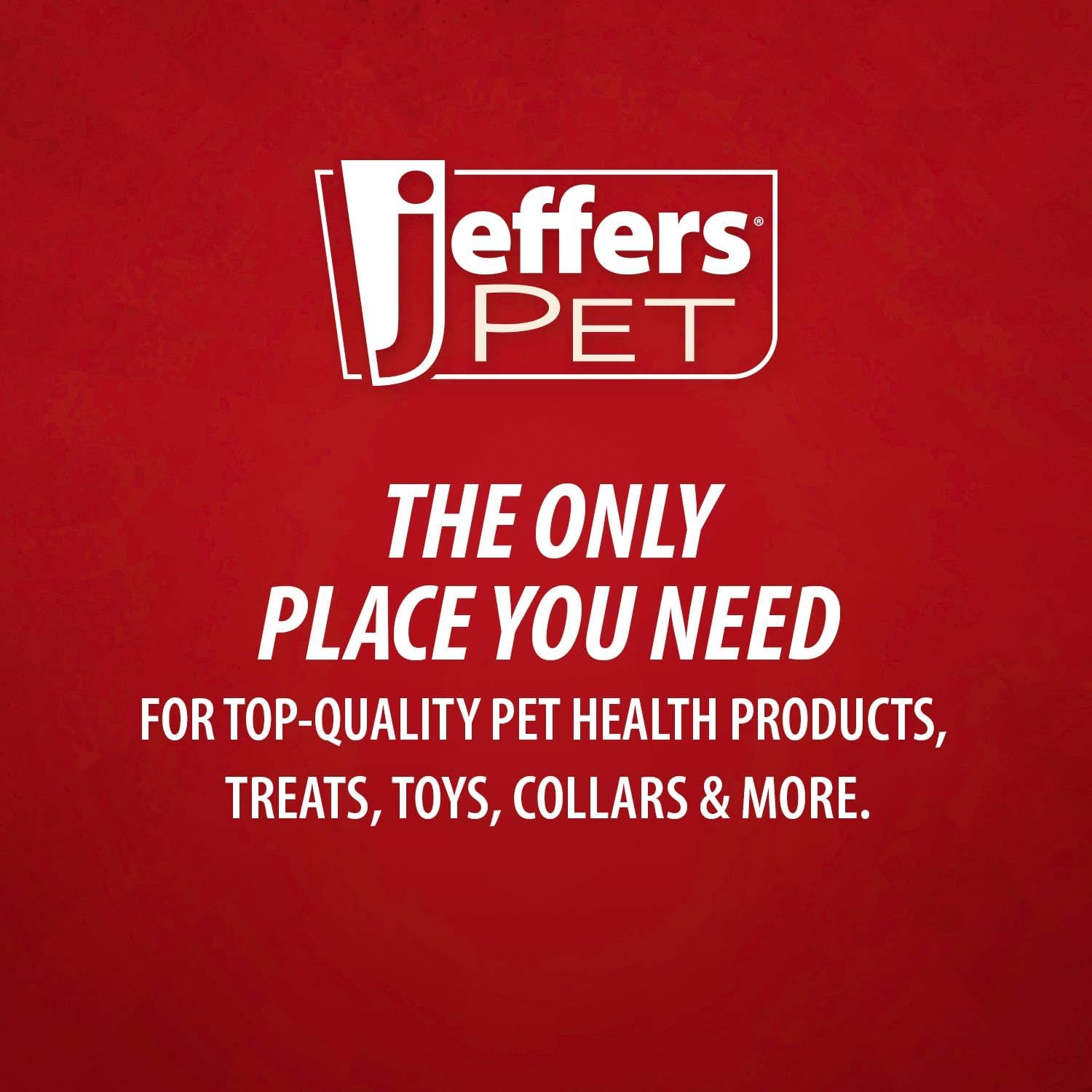 Jeffers Pet Apricot Kernel Exfoliating & Moisturizing Shampoo for Dogs & Cats, 17 oz - Concentrated Coconut Based Formula, Soap Free, Gentle Coat Cleansing, Vitamin Enriched Grooming Care, USA Made