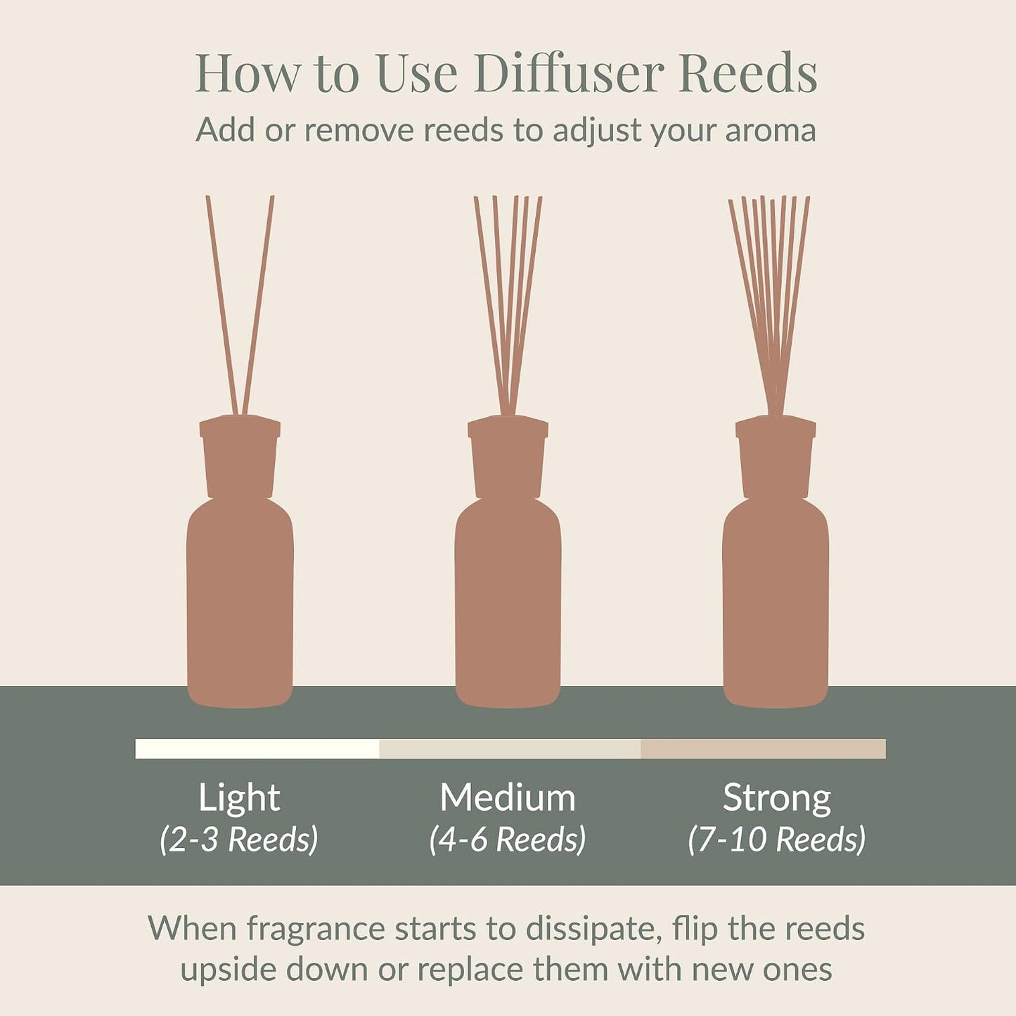 Archipelago Botanicals Black Forest Reed Diffuser Oil Refill, Home Fragrance Oil for Diffuser, Long-Lasting Natural Home Fragrance, Diffuser Oil Scents, 7.85 Fl Oz