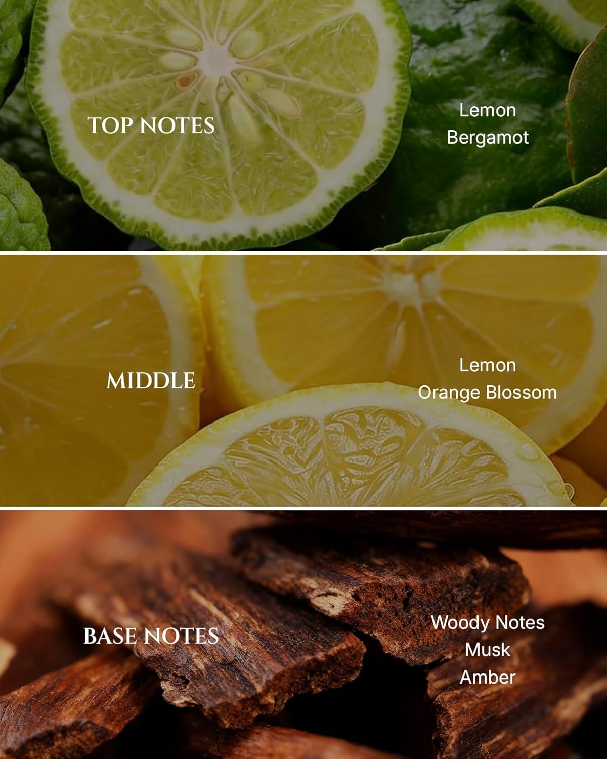 Aromadd Citrus Hotel Diffuser Oil Inspired by Luxury Hotel Scent, Premium Fragrance Oils for Waterless Diffuser, Luxury Lemon & Bergamot, Long-Lasting Home Fragrance - 3.38 fl oz (100 mL)