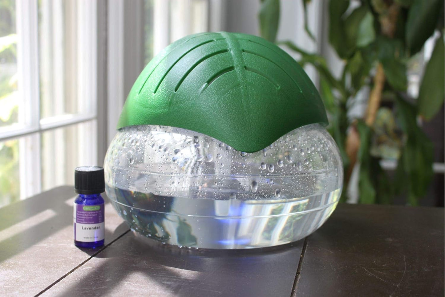 EcoGecko Green Leaf Air Revitalizer, Air Freshener, Room Aromatizer, Aroma and Essential Oil Diffuser with 10ML Lavender Oil