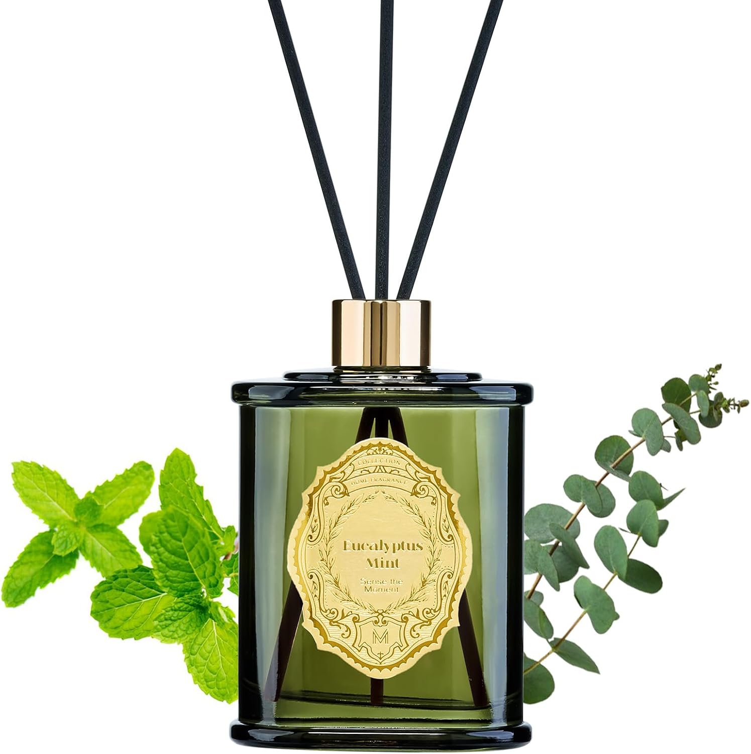 M&SENSE 8.4 oz Large Reed Diffuser for Home | Eucalyptus Mint Scent Oil Diffuser with Sticks | Bedroom Bathroom Living Room Decor