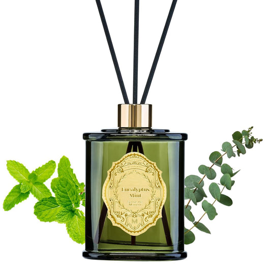 M&SENSE 8.4 oz Large Reed Diffuser for Home