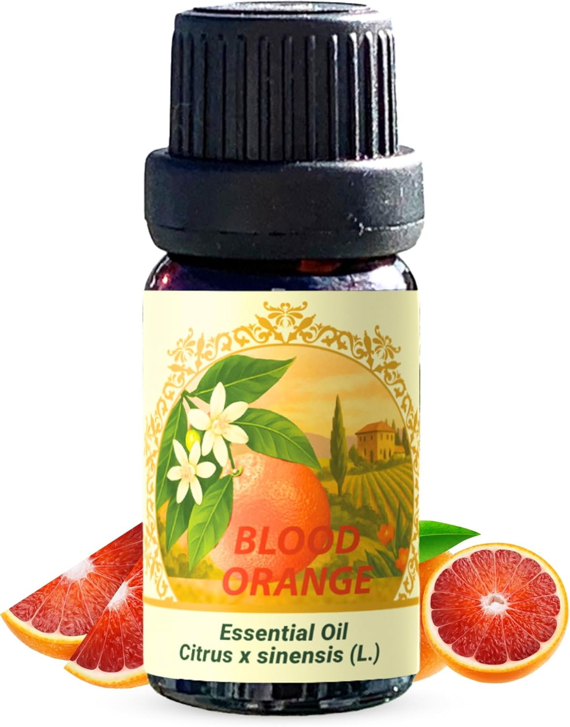 Orange Essential Oil, Blood – 100% Pure, Cold Pressed – 0.33 FL OZ / 10 ML