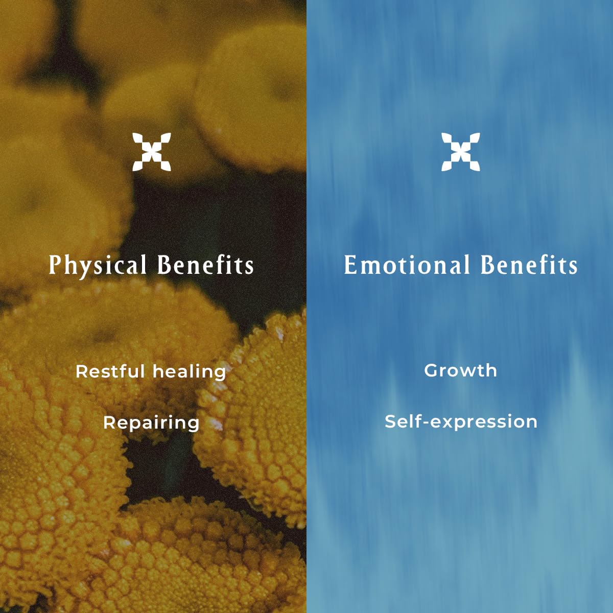 Inna Organic Blue Tansy Restful Sleep Spray, patented ingredent Regenite, Soothing and relaxing pillow spray.