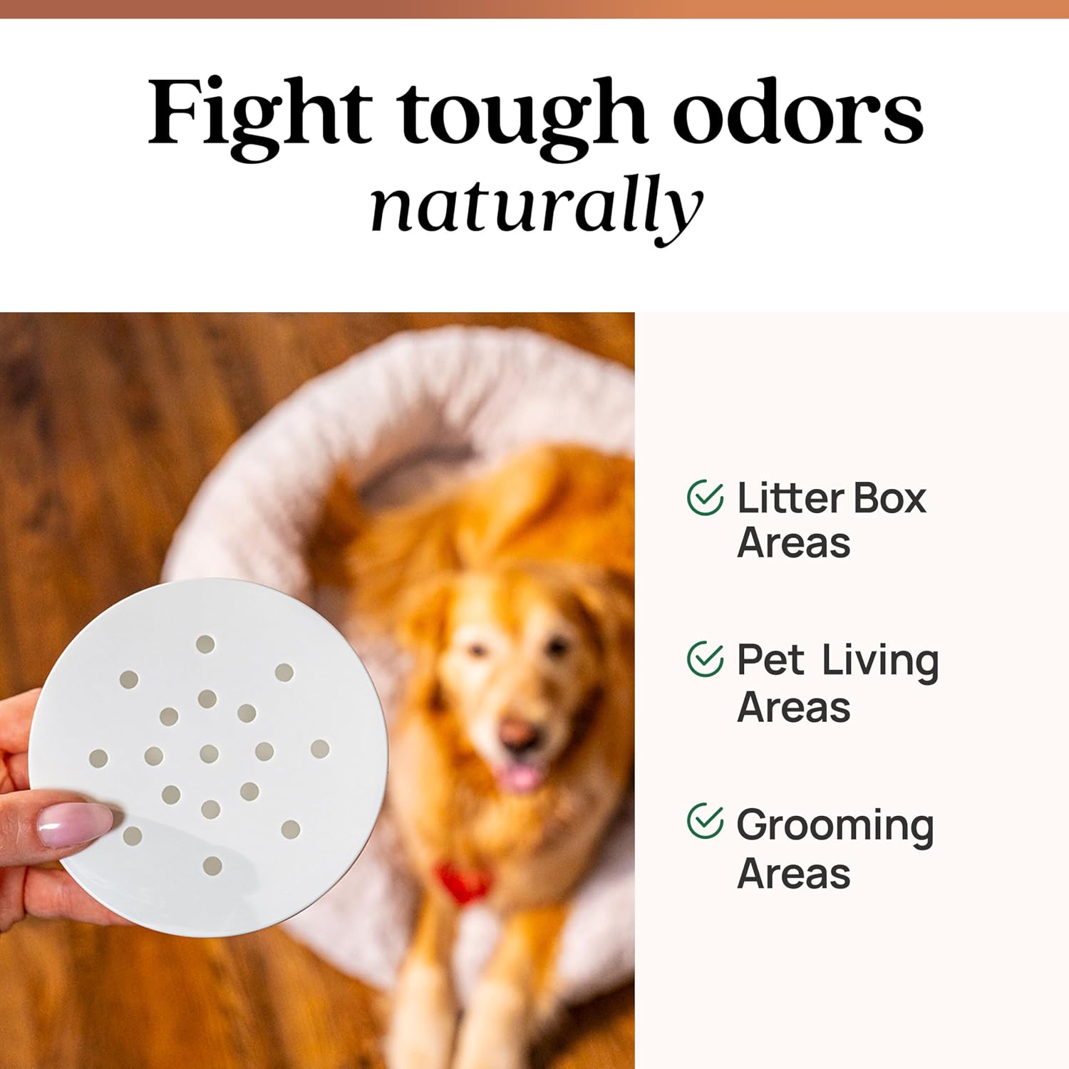 Azuna Pet Odor Eliminator for Strong Odor Gel | Plant Powered Australian Tea Tree Oil | Dog and Cat Room Deodorizer | Child and Pet Safe Air Fresheners for home | Cedarwood Scent | 8oz Pod