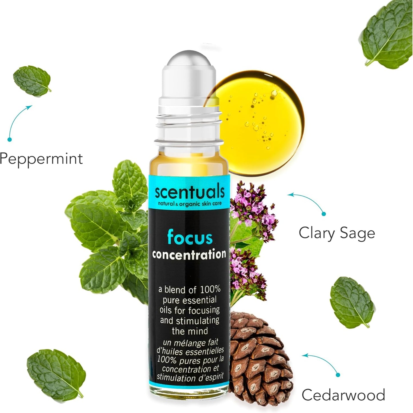 Essential Oil Blend Roll On: Peppermint Essential Oil,Cedarwood and Clary Sage Oil, 100% Pure Natural, to Improve Mental Focus & Concentration, Aromatherapy, Essential Oil Perfume (9 ml | 0.3 oz)