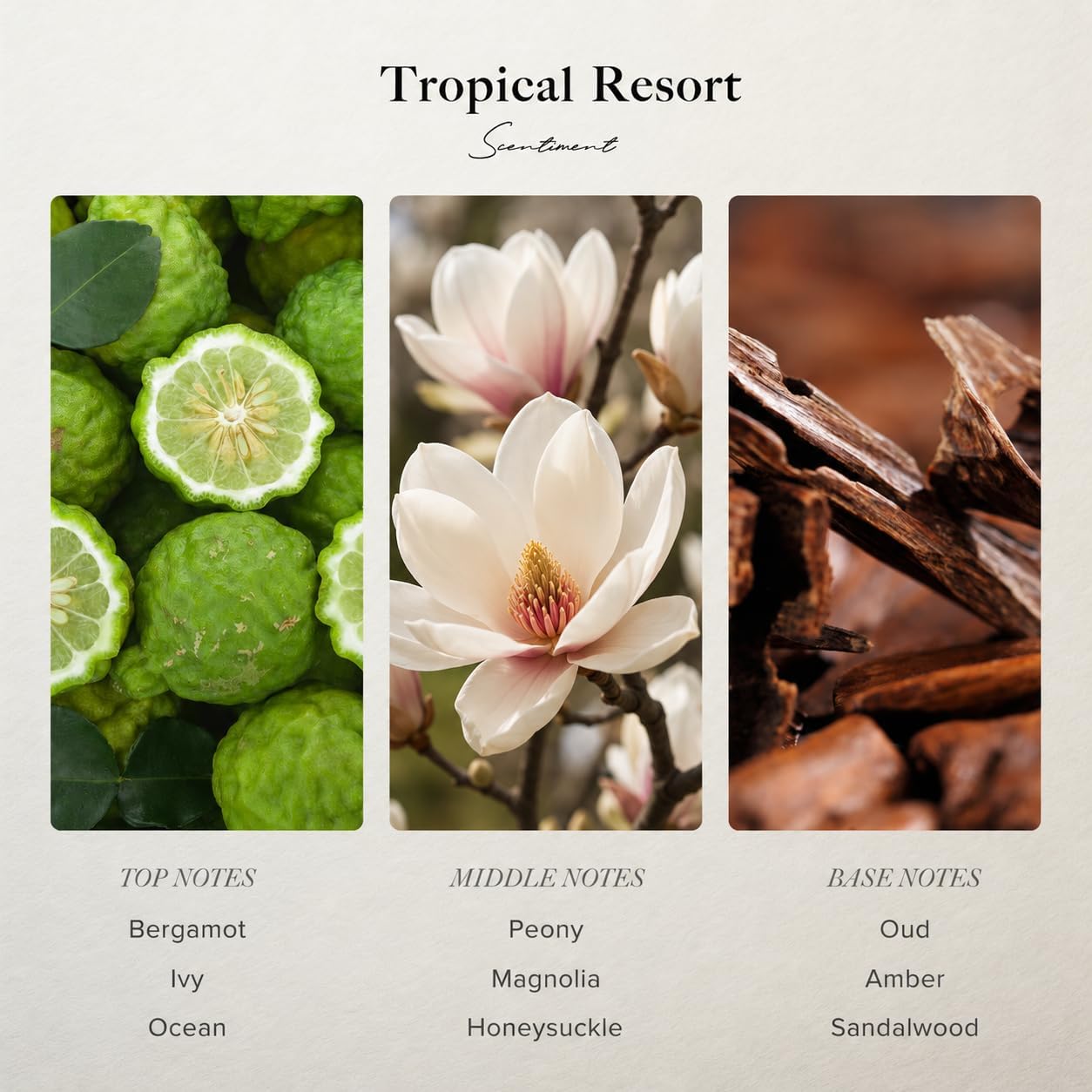 Scentiment Tropical Resort Diffuser Oil - Premium Hotel Scent with Notes of Bergamot, Magnolia & Oud Home Scent, Hotel Fragrance Oil Diffuser Refill - 0.68 fl oz (20 mL)