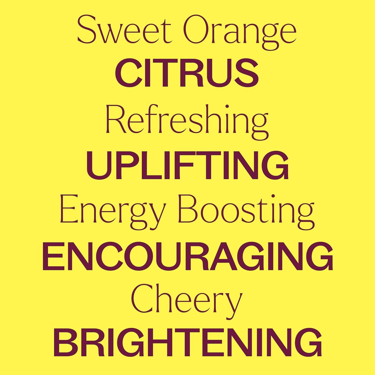 Plant Therapy Sweet Orange Essential Oil, 30 mL (1 oz), 100% Pure and Undiluted, Great for Diffusers and DIY Skin Care