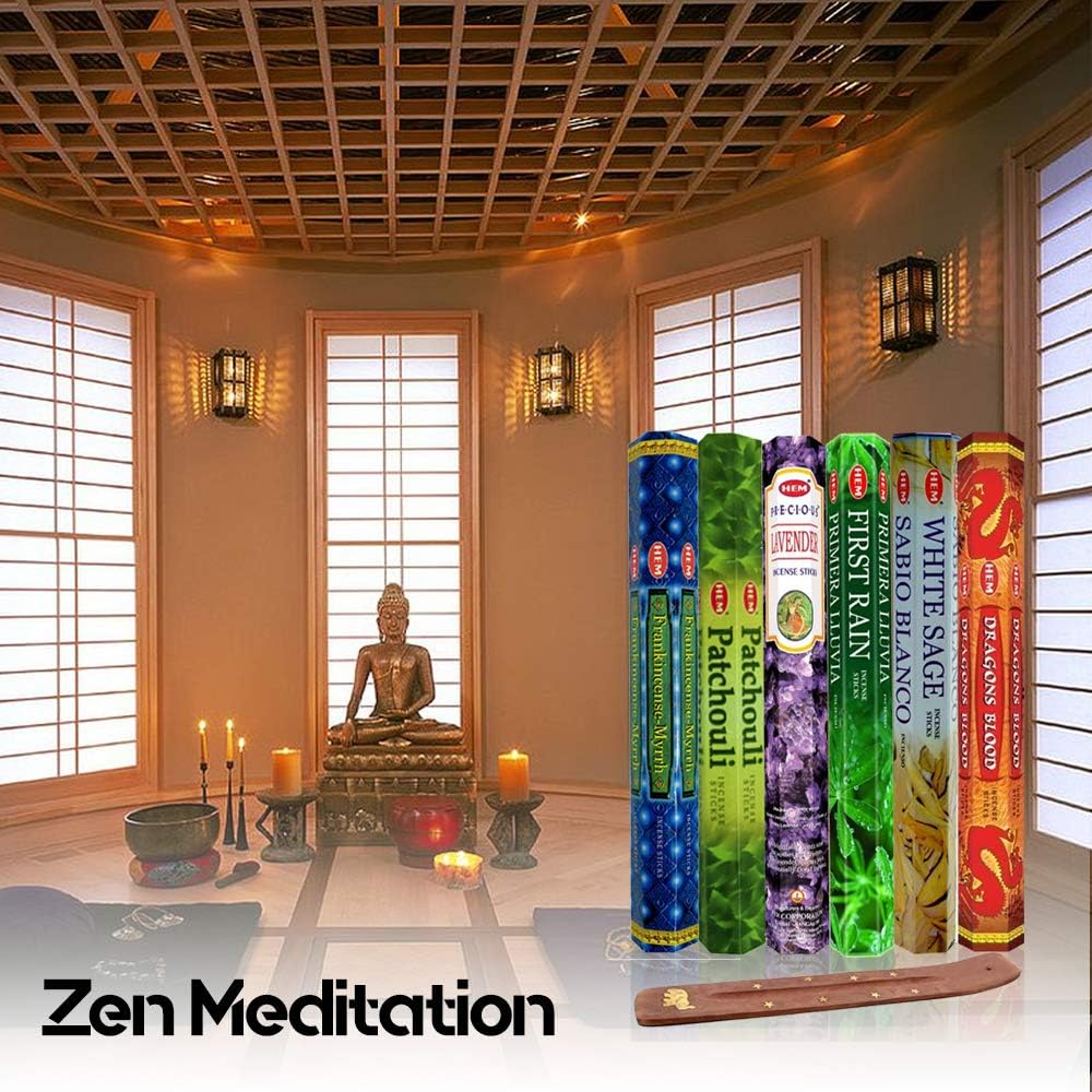 Six Most Popular HEM Incense Scents With Free Burner - 40 Sticks Each of Dragon's Blood, Frankincense & Myrrh, Patchouli, Precious Lavender, First Rain, and White Sage 240 TOTAL STICKS