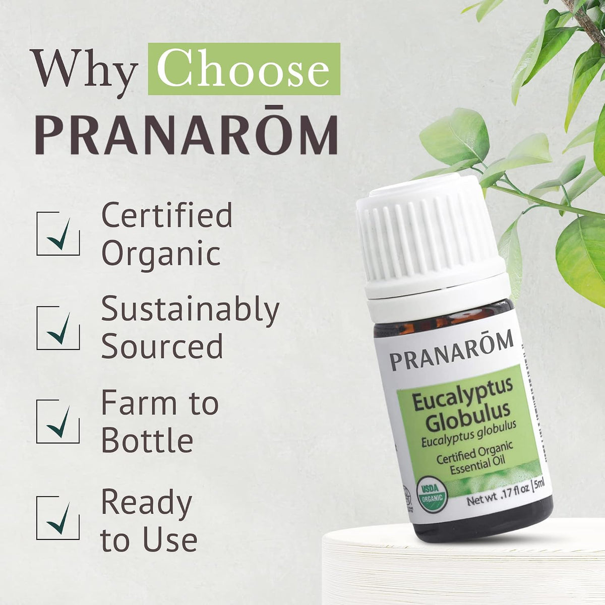Pranarom Eucalyptus Globulus Essential Oil 5 ml