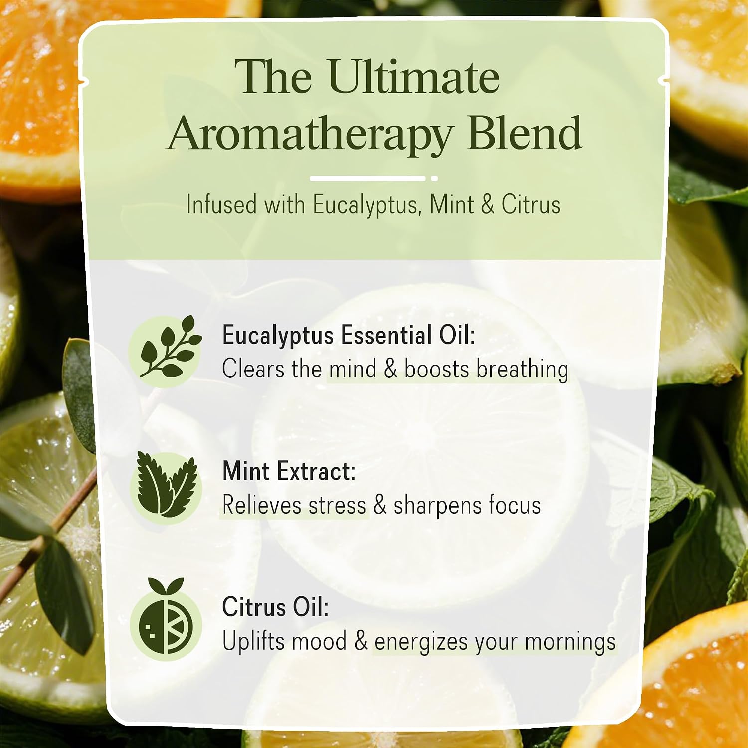 Shower Steamers 10 Pack, Eucalyptus Mint Citrus Shower Bombs Aromatherapy | Eucalyptus, Mint, Citrus & Sea Salt • Aromatherapy Shower Steamers • Home Spa Experience • 10 Pack