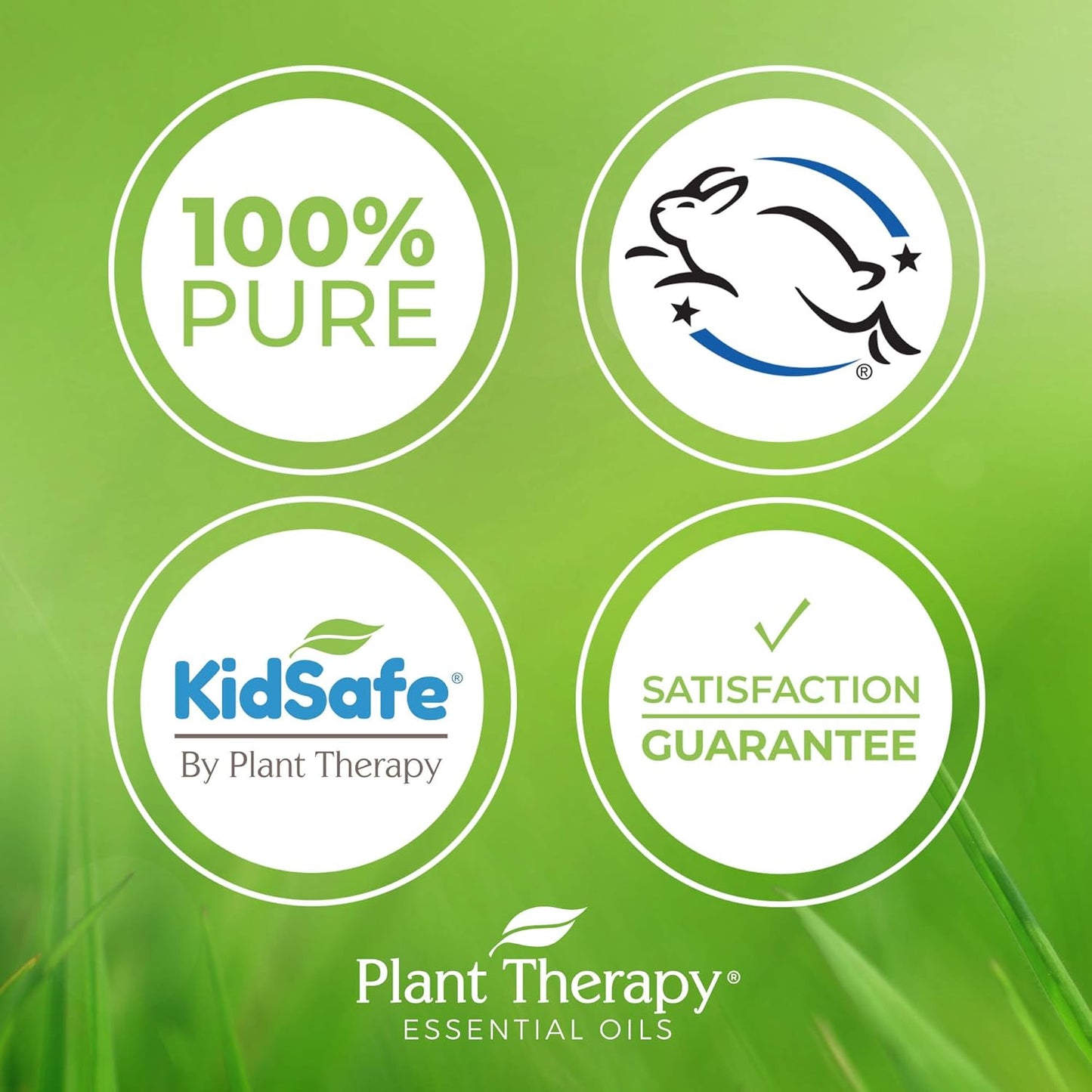 Plant Therapy Apricot Kernel Carrier Oil 1 Gal. A Base Oil for Aromatherapy, Essential Oil or Massage Use