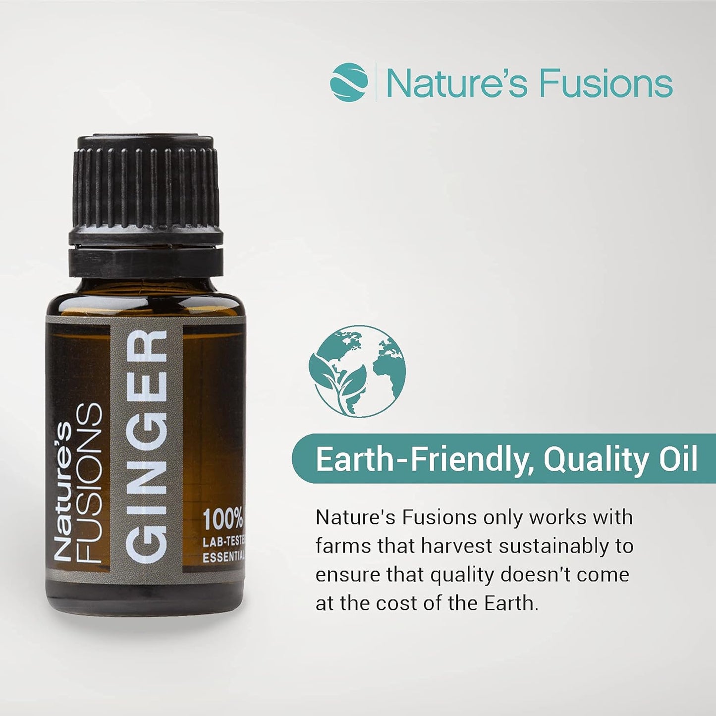 Nature's Fusions Ginger Root, 100% Pure and Natural Essential Oils, Undiluted, Therapeutic Grade for Aromatherapy and Topical Use, .5 Fl Oz (Pack of 1) (15 mL)
