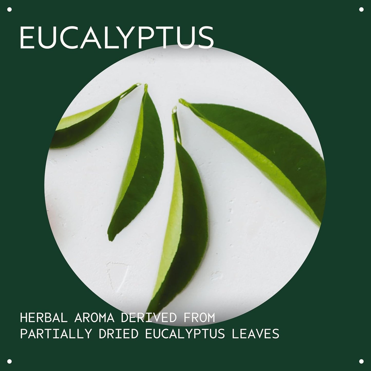 Aveda Eucalyptus Essential Oil + Base | Fresh Aroma | for Body & Bath, 1 Fl Oz