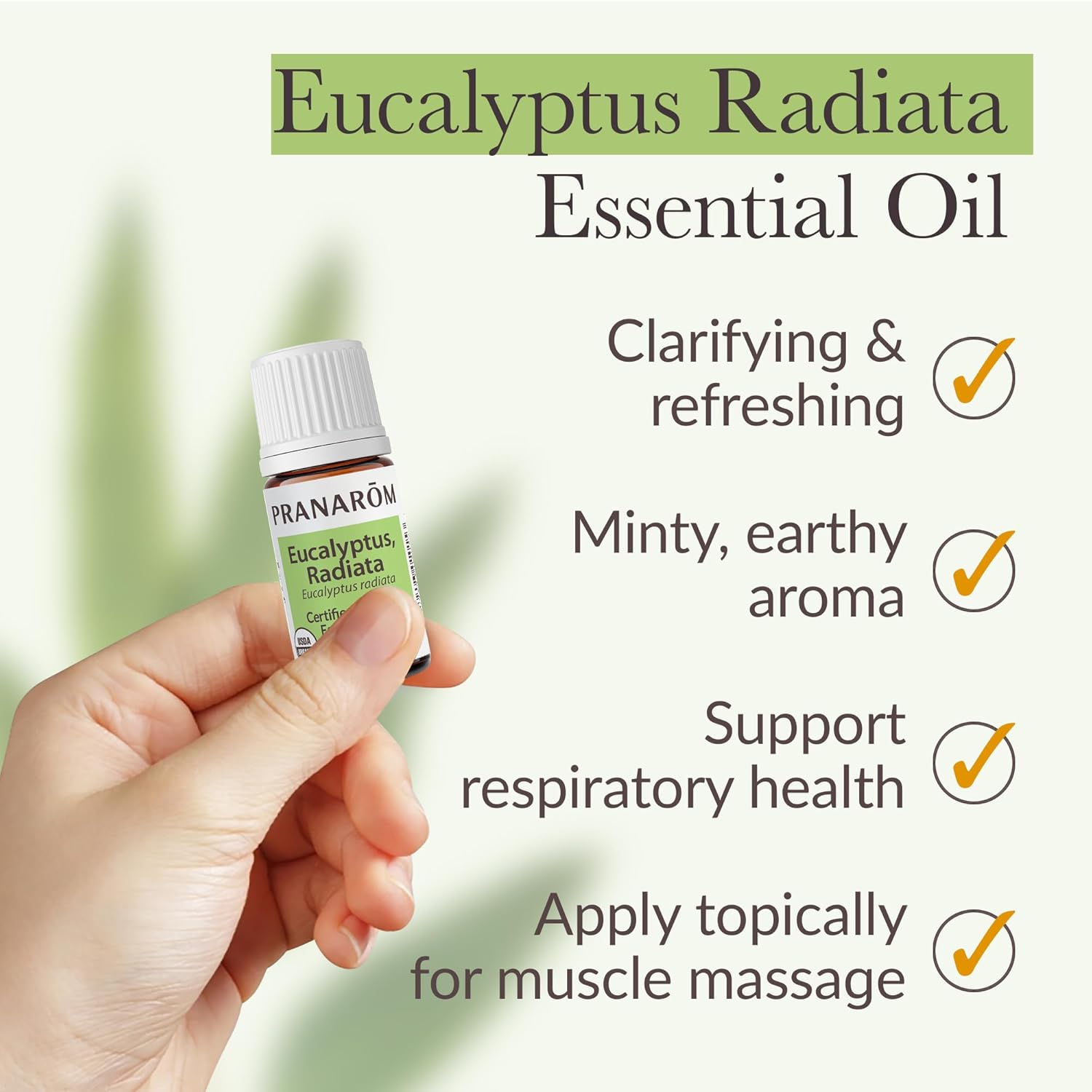 Pranarom - Eucalyptus Radiata Essential Oil 5ml - Diffusing for Relaxation Therapy - 100% Pure Organic Eucalyptus Oil - Gentle for Sensitive Skin
