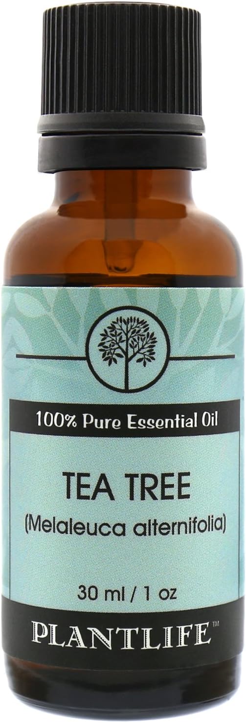 Plantlife Tea Tree Aromatherapy Essential Oil - Straight from The Plant 100% Pure Therapeutic Grade - No Additives or Fillers - 30 ml