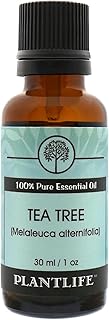 Plantlife Tea Tree Aromatherapy Essential Oil - Straight from The Plant 100% Pure Therapeutic Grade - No Additives or Fillers - 30 ml