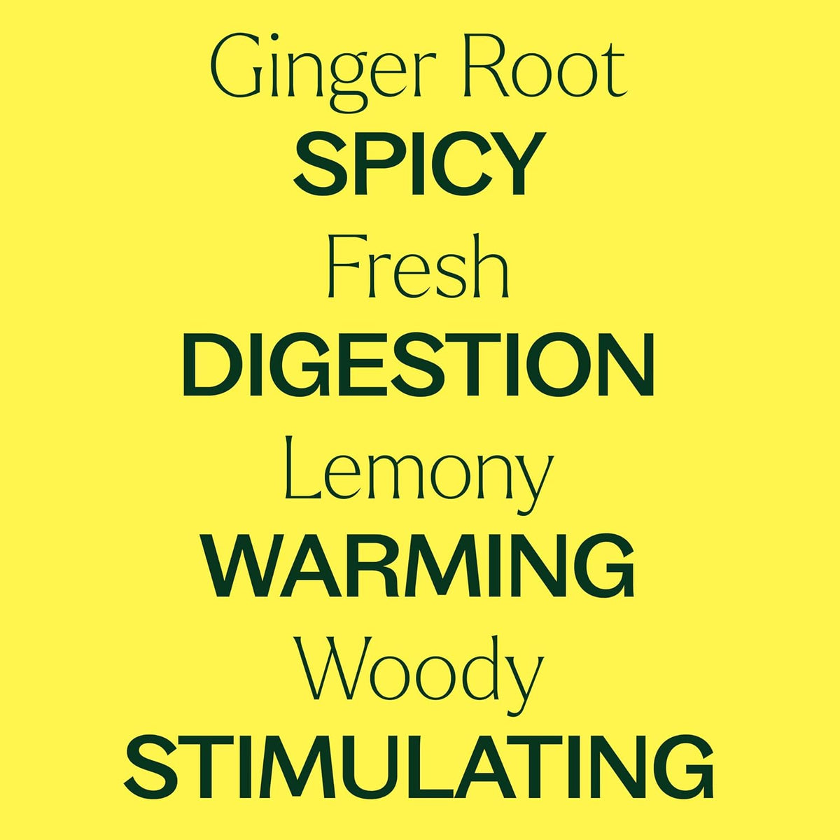 Plant Therapy Ginger Root CO2 Essential Oil 10 mL